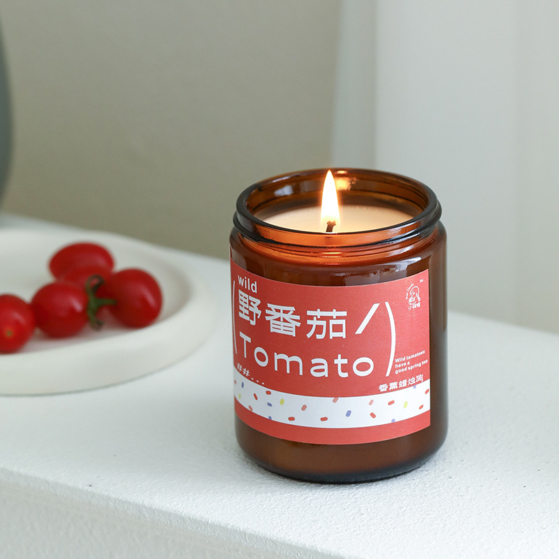 Plant Fragrance Aromatherapy C - Home Fragrance No 3 review and price