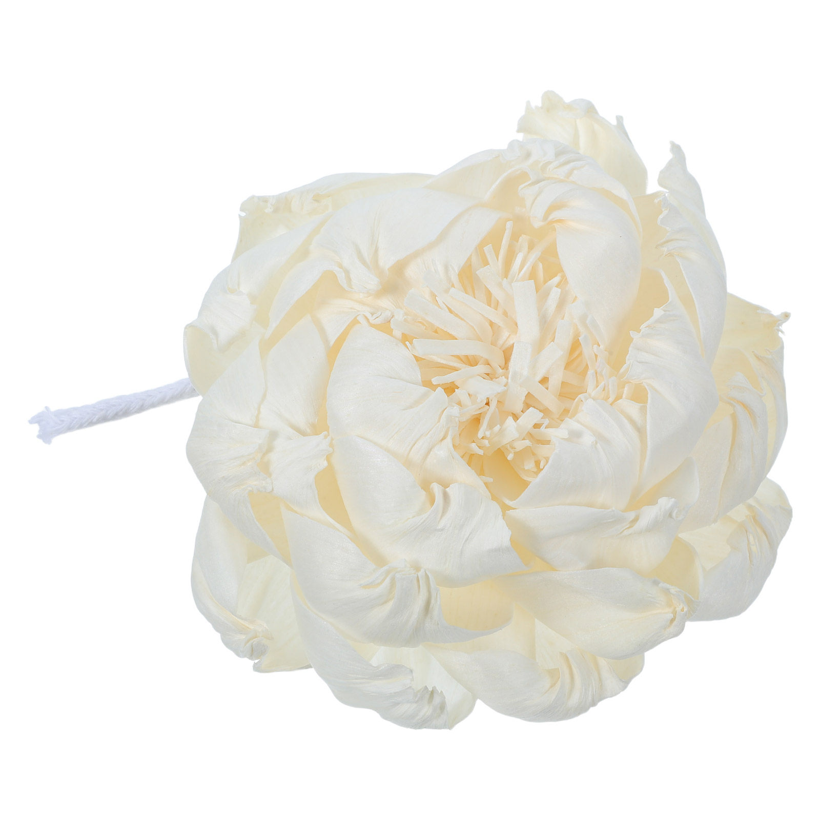 Peony Head Fragrance Diffuser  - Home Fragrance Oils review and price