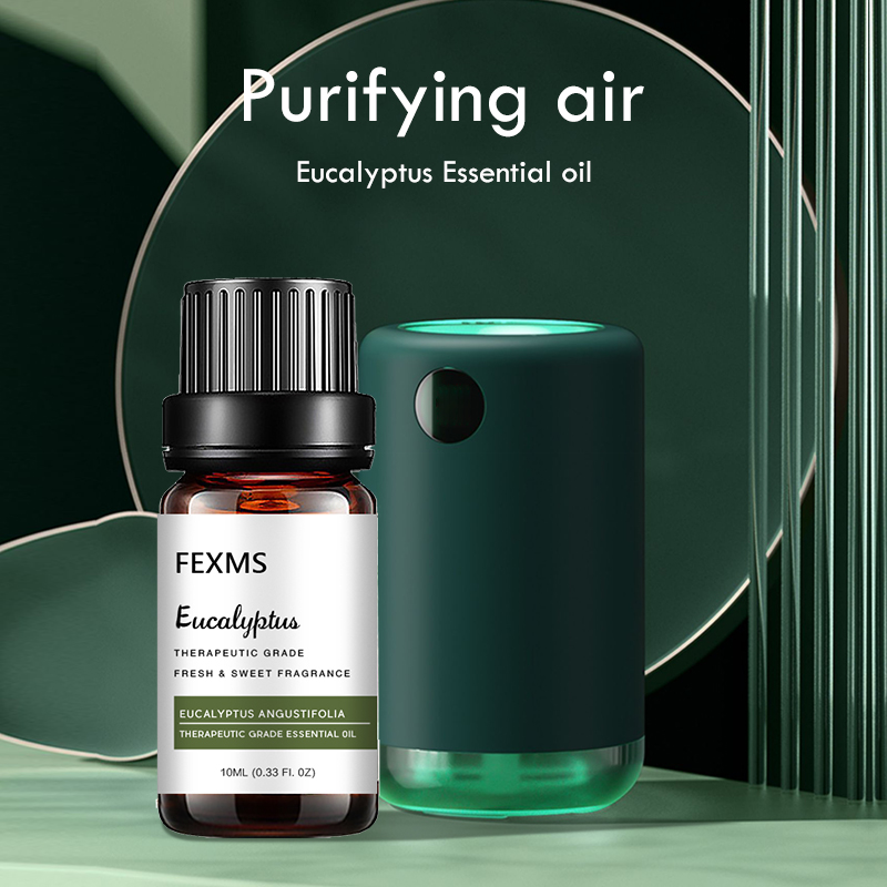 Eucalyptus Essential Oil (100% - Home Fragrance Eucalyptus review and price