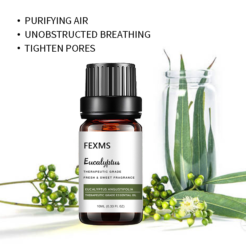 Eucalyptus Essential Oil (100% - Home Fragrance Eucalyptus review and price